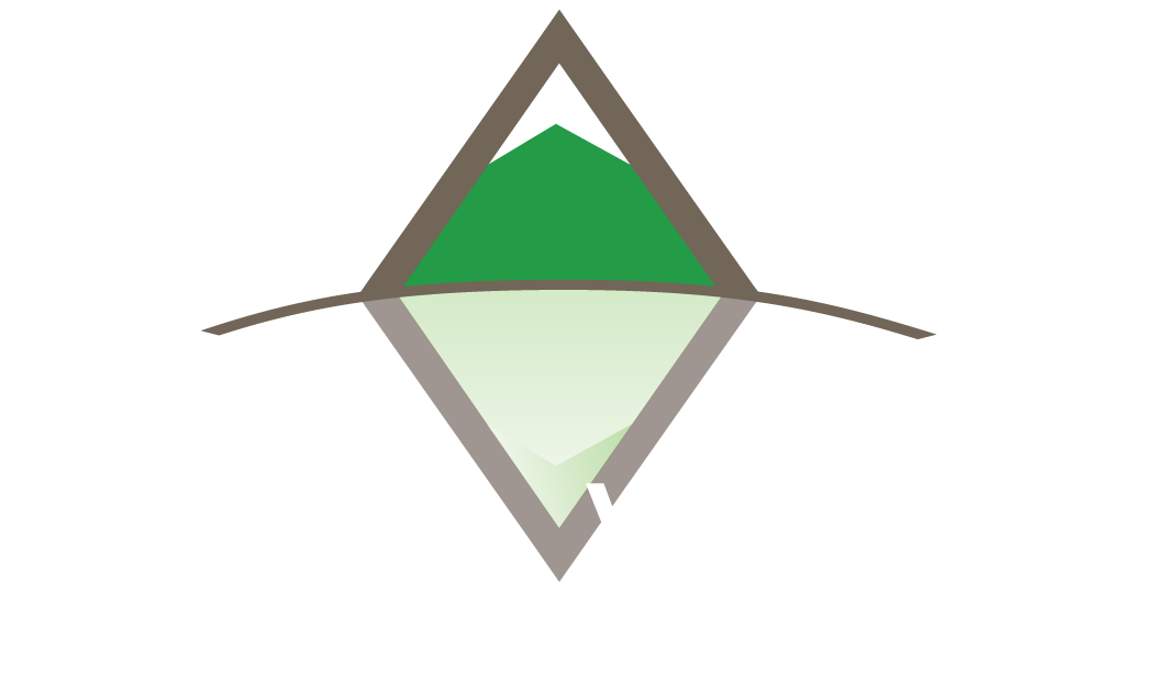 AltaVista Strategic Partners - We Grow Companies.